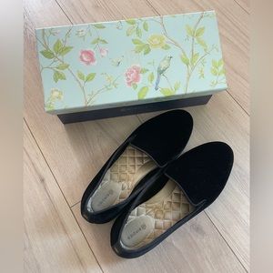 Birdies The Starling in Black Velvet